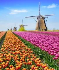 Fototapete Tulpe Zauberhafte Märchenlandschaft mit Blumentulpenfeld in Holland, Europa (Meditation, Anti-Stress, Harmonie - Konzept)