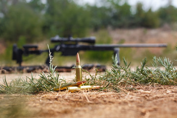 Cartridges on the grass