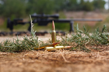 Cartridges on the grass