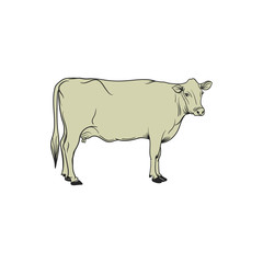 cow line art