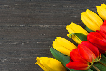 Yellow and red tulips on grey wooden board. Background, pattern, texture.