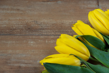 Yellow tulips on brown wooden board. Background, pattern, texture.