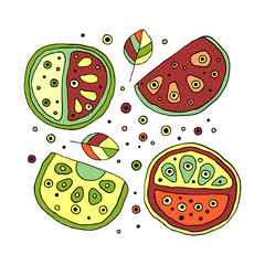 Set of vector hand drawn childish juicy, fruits. Cute childlike watermelon with leaves, seeds, drops. Doodle, sketch, cartoon style. Line drawing. Graphic unusual illustration Bright colors