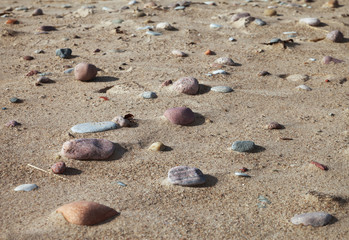 Stone beach.