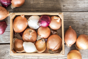 Raw onions in basket on wooden table
