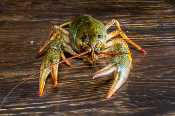 Live crawfish on a wooden board