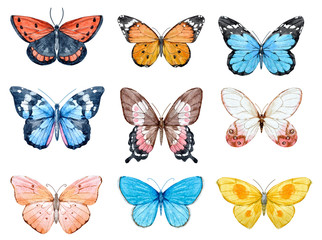 Fototapeta na wymiar Watercolor butterflies set