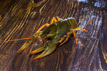 Live crawfish on a wooden board