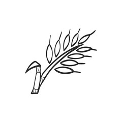 Sketch icon - Wheat