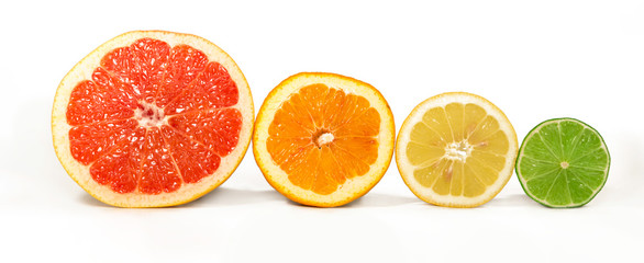 Isolated Citrus Fruits. Slices of Lemon, Orange, Lime and Grapefruit in Line. Isolated on White Background.