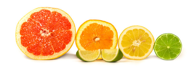 Isolated Citrus Fruits. Slices of Lemon, Orange, Lime and Grapefruit in Line. Isolated on White Background.