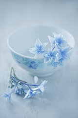 Obraz na płótnie Canvas Beautiful blue hydrangea flowers close-up in a vase on a light background. 