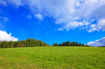 Fototapeta na wymiar Green Grass Field Landscape and blue sky.