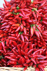 Peperoncino rosso