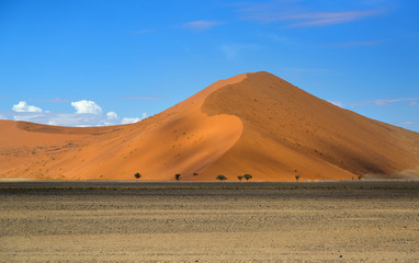 Fototapeta na wymiar Namib desert in Sossusvlei region Namibia March