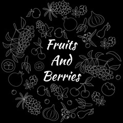 Fruits and Berries Hand Drawn Round Vector Set