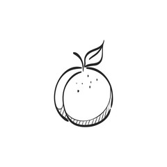 Sketch icon - Peach