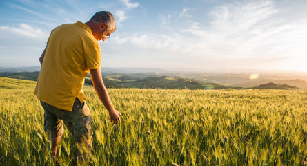 Man in a wheat field