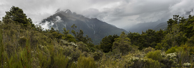 New Zealand Forest and Mountains Routeburn Track