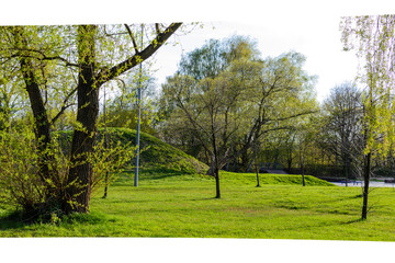 Wiosna w parku © Senatorek