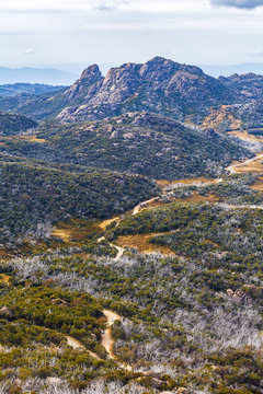 Winding dirt road and rugged cliffs at Mount Buffalo National Park, Victoria, Australia. Vertical image
