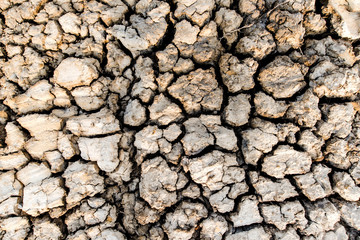 dry soil texture background