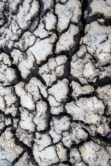 dry soil texture background
