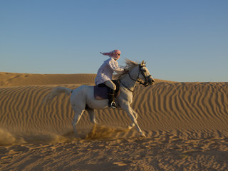 Arab horseman riding in the desert at sunset
