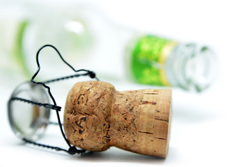 Cork from champagne bottle