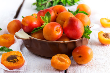 Ceramic bowl with organic ripe apricots