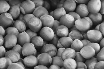 Background of closed selected hazelnuts - black and white
