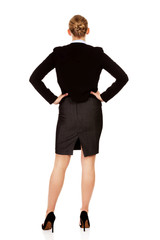 Back view of elegant businsess woman