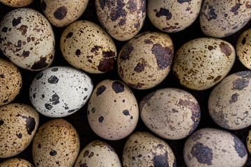 Obraz premium Quail eggs texture. Many quail eggs