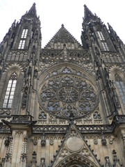 Fototapeta premium Sabor majestic