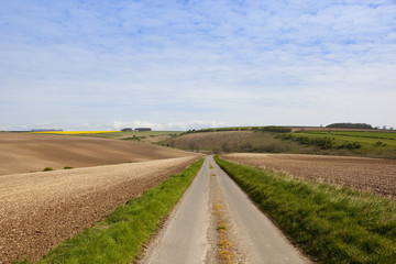 Fototapeta na wymiar agricultural country road