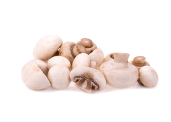 Champignon mushroom isolated on white background