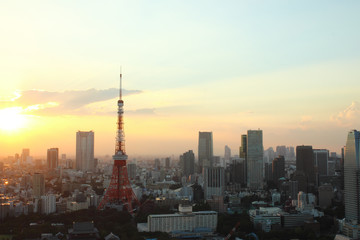 Fototapeta na wymiar Japan skyline with tokyo tower background