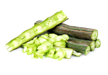 moringa isolated  on white background