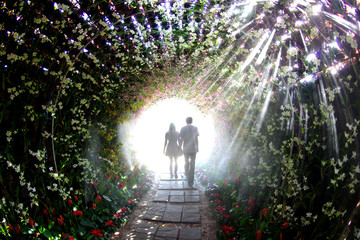 Couples walking in flower Tunnel