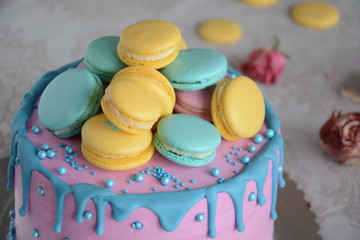 Homemade pink colorful cake with macarons