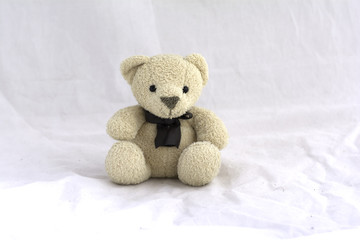 soft toy teddy bear on white background.