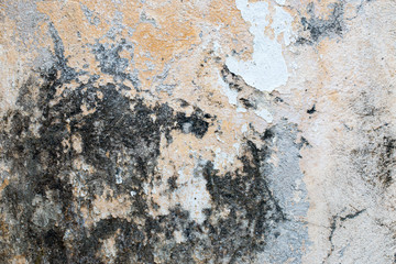 white concrete wall texture