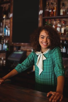 Portrait of beautiful female bar tender