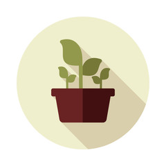 Plant in pot flat icon, garden, flowerpot