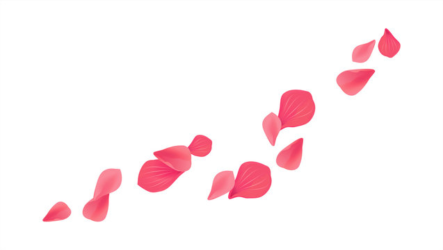 Pink Red flying petals isolated on white background. Sakura Roses petals. Vector EPS 10, cmyk