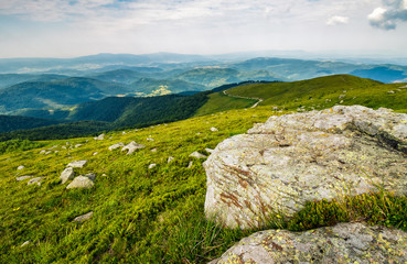 Fototapeta na wymiar meadow with boulders in Carpathian mountains in summer