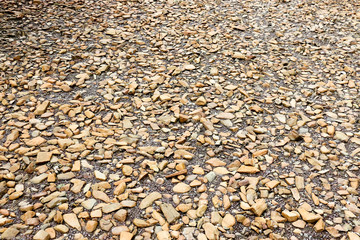 Backgrounds and texture of the sidewalk.