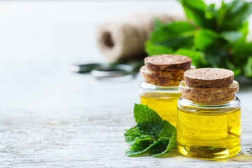 Organic essential mint oil with green leaves