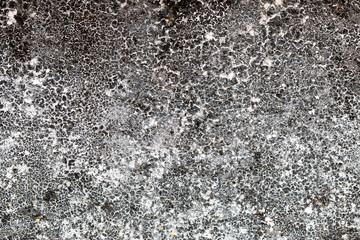 white concrete wall texture