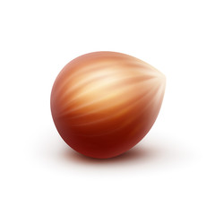 Vector Full Unpeeled Realistic Hazelnut Close up Isolated on White Background